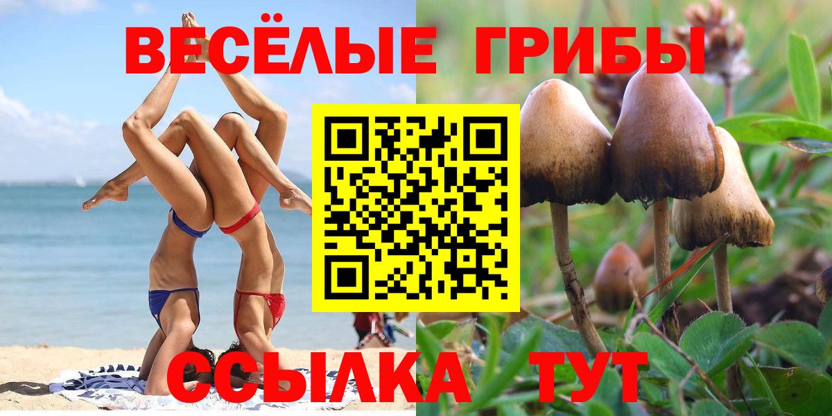 Галлюциногенные грибы Psilocybe  Вход с VPN  Саров  Псилоцибиновые грибы Psilocybe 