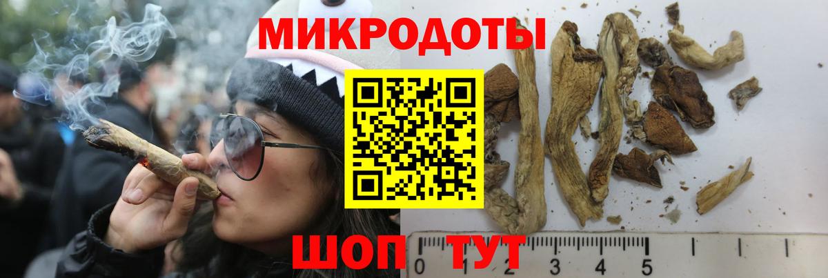 Псилоцибиновые грибы ЛСД Саров